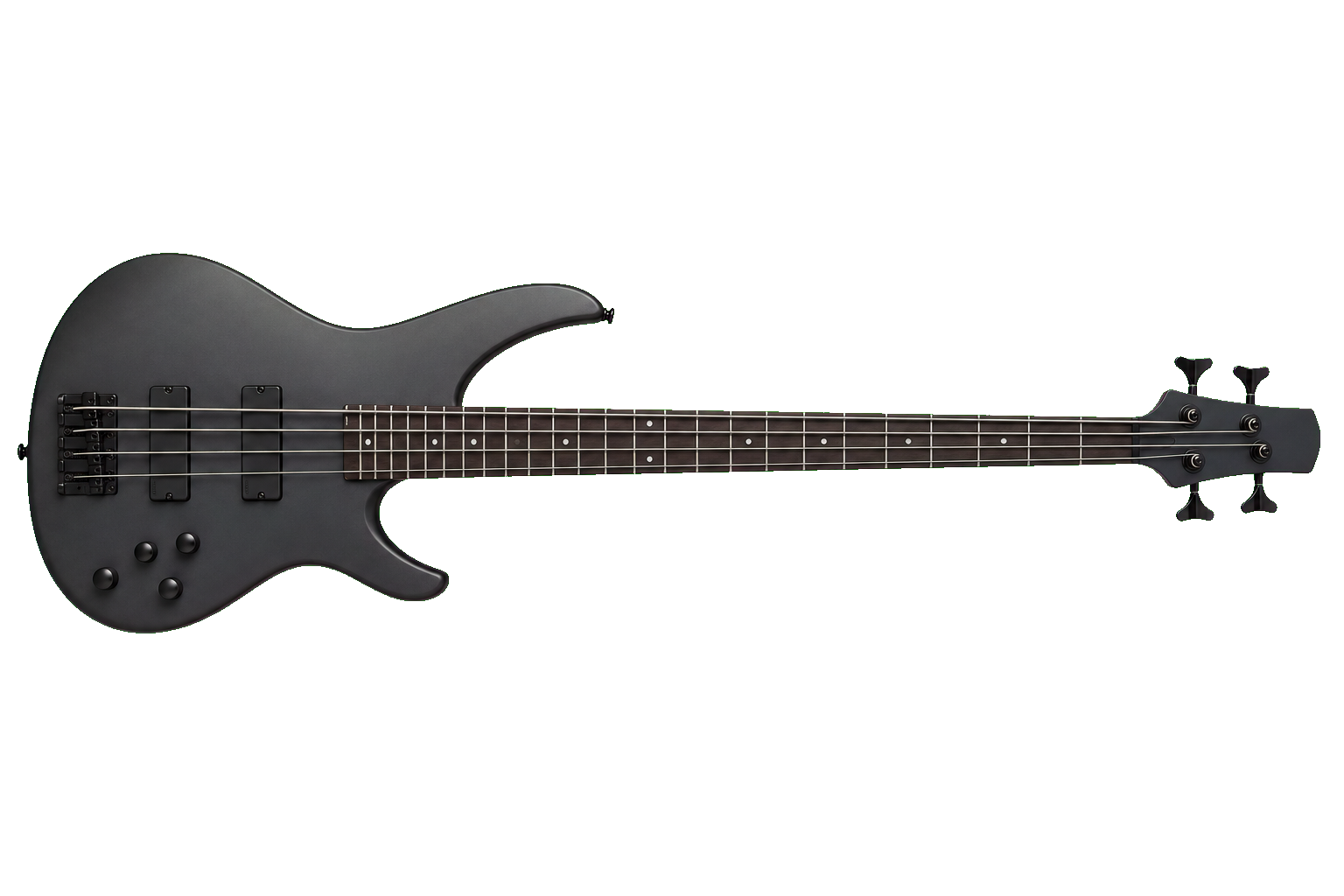 Bass Guitar